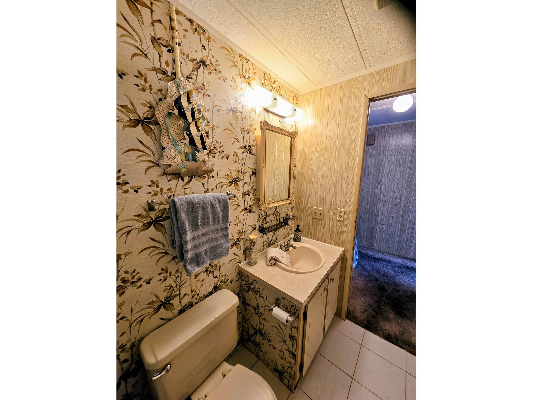 6306 Waterfront Lane Zephyrhills FL 33542 TB8518029 image25