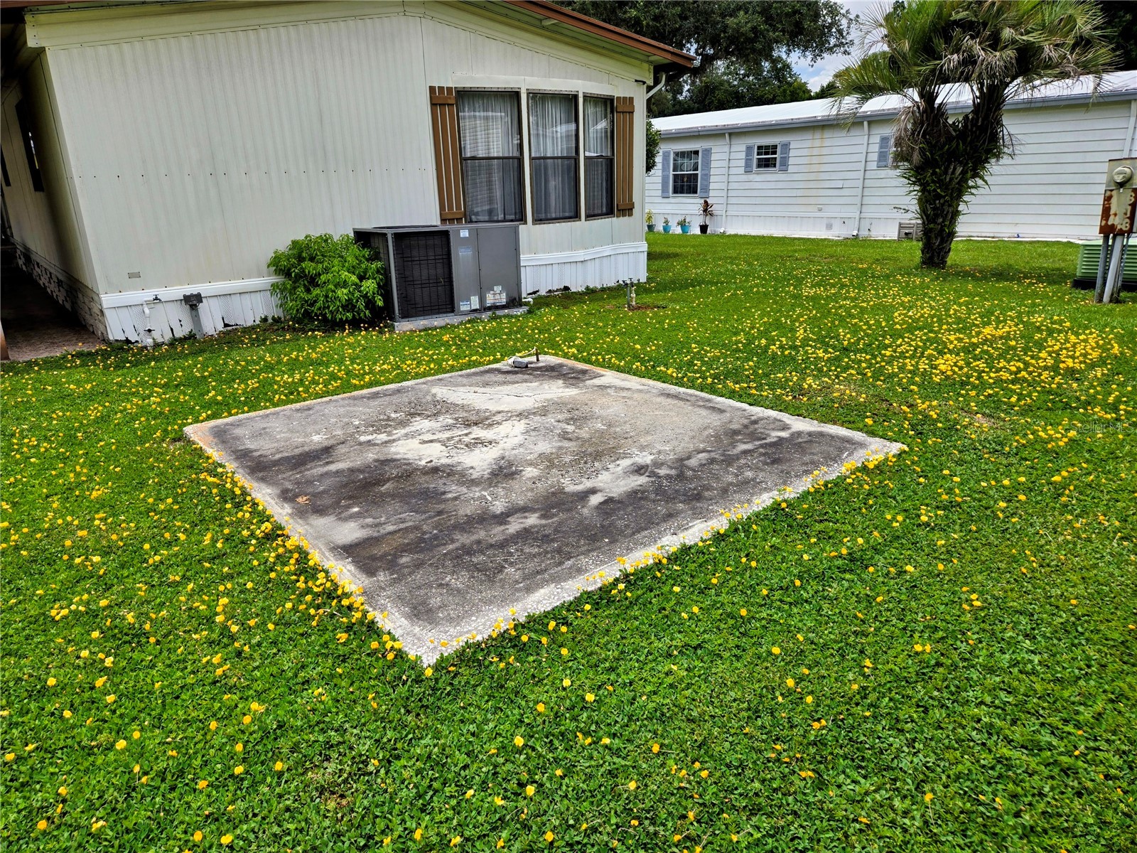 6306 Waterfront Lane Zephyrhills FL 33542 TB8518029 image5