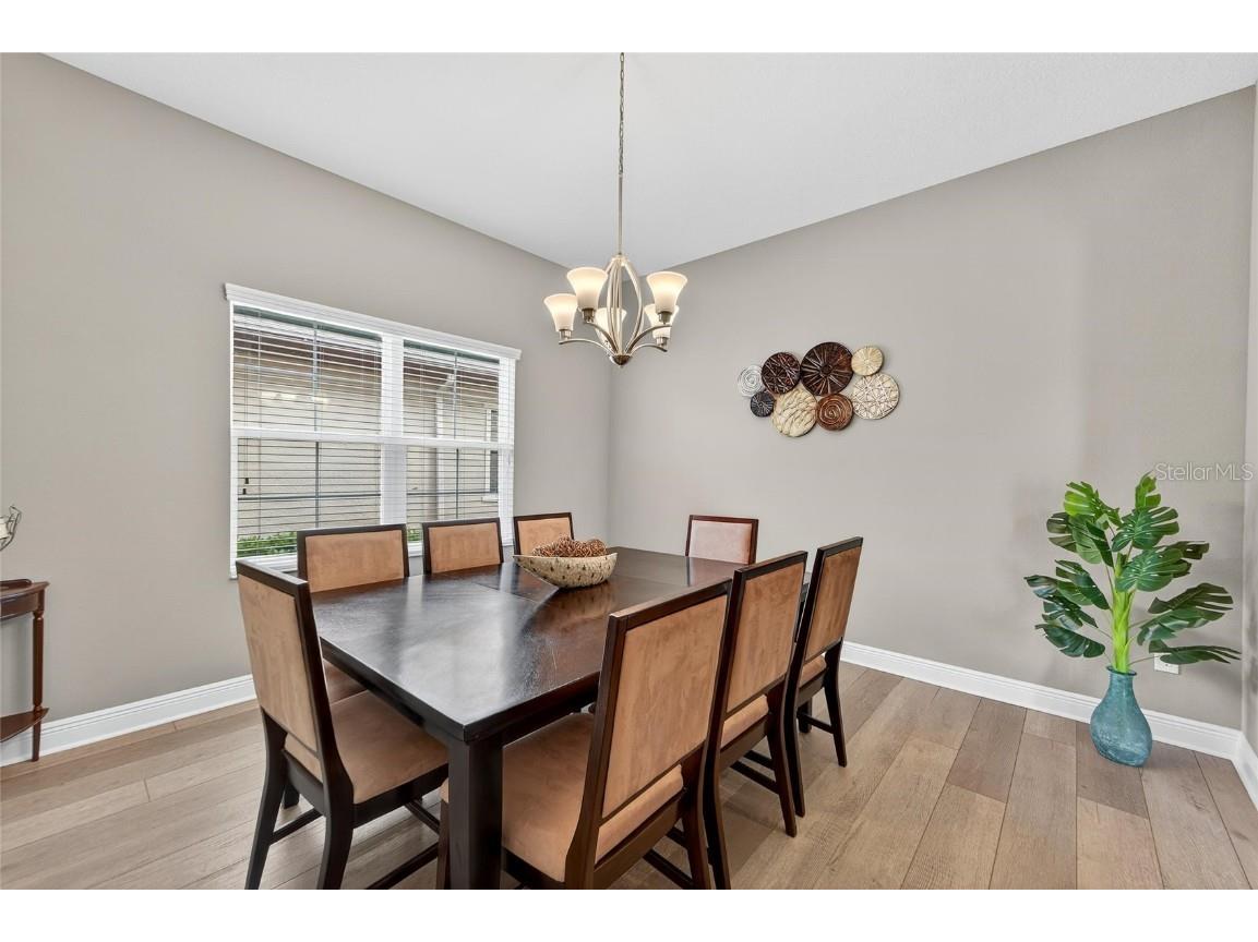 6307 Brevada Lane Apollo Beach FL 33572 TB8438044 image14