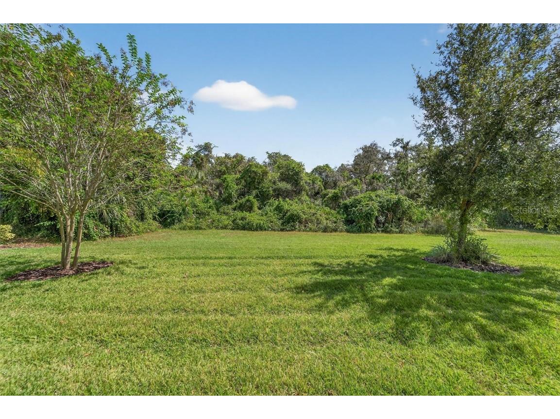 6307 Brevada Lane Apollo Beach FL 33572 TB8438044 image69