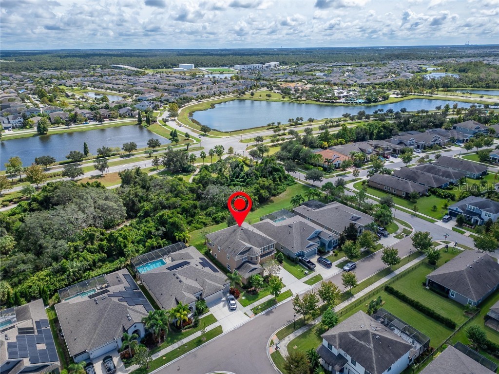 6307 Brevada Lane Apollo Beach FL 33572 TB8438044 image73