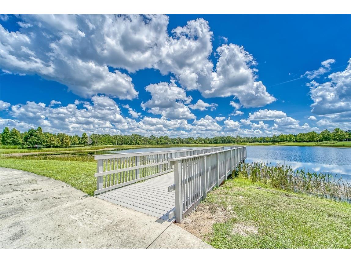 6307 Brevada Lane Apollo Beach FL 33572 TB8438044 image97