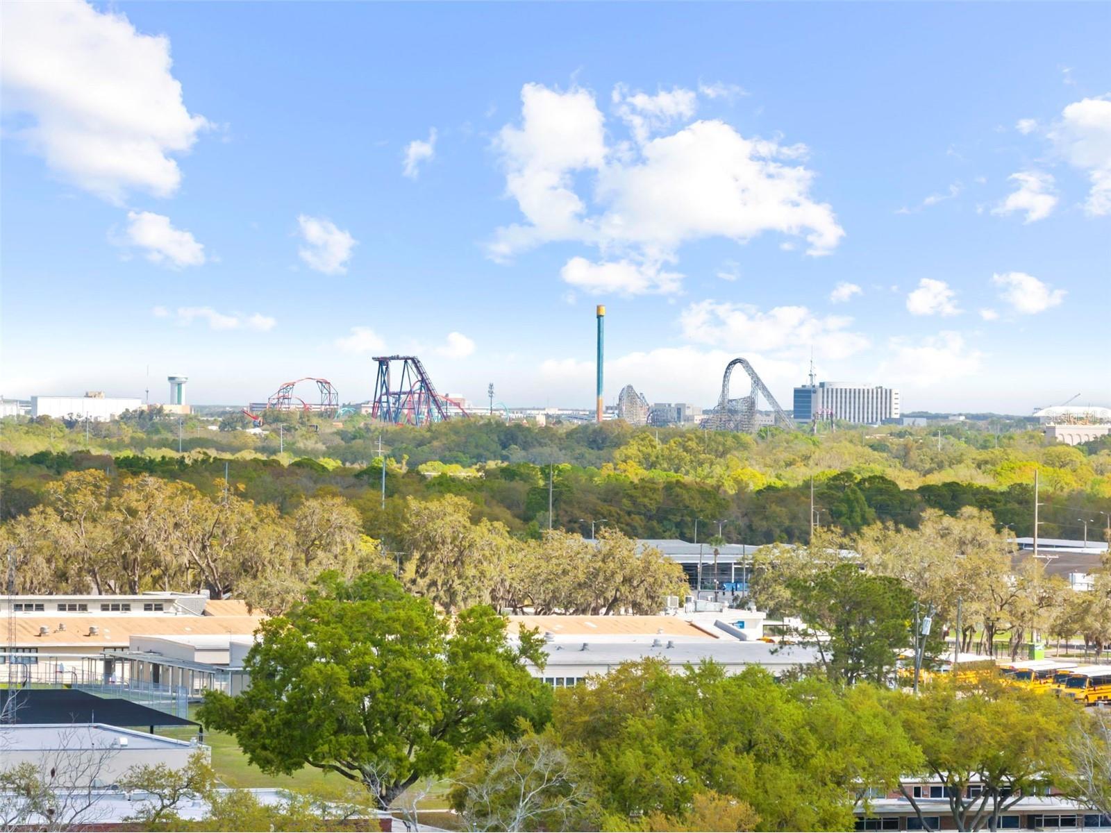 6307 Julie Street Tampa FL 33610 TB8480167 image34