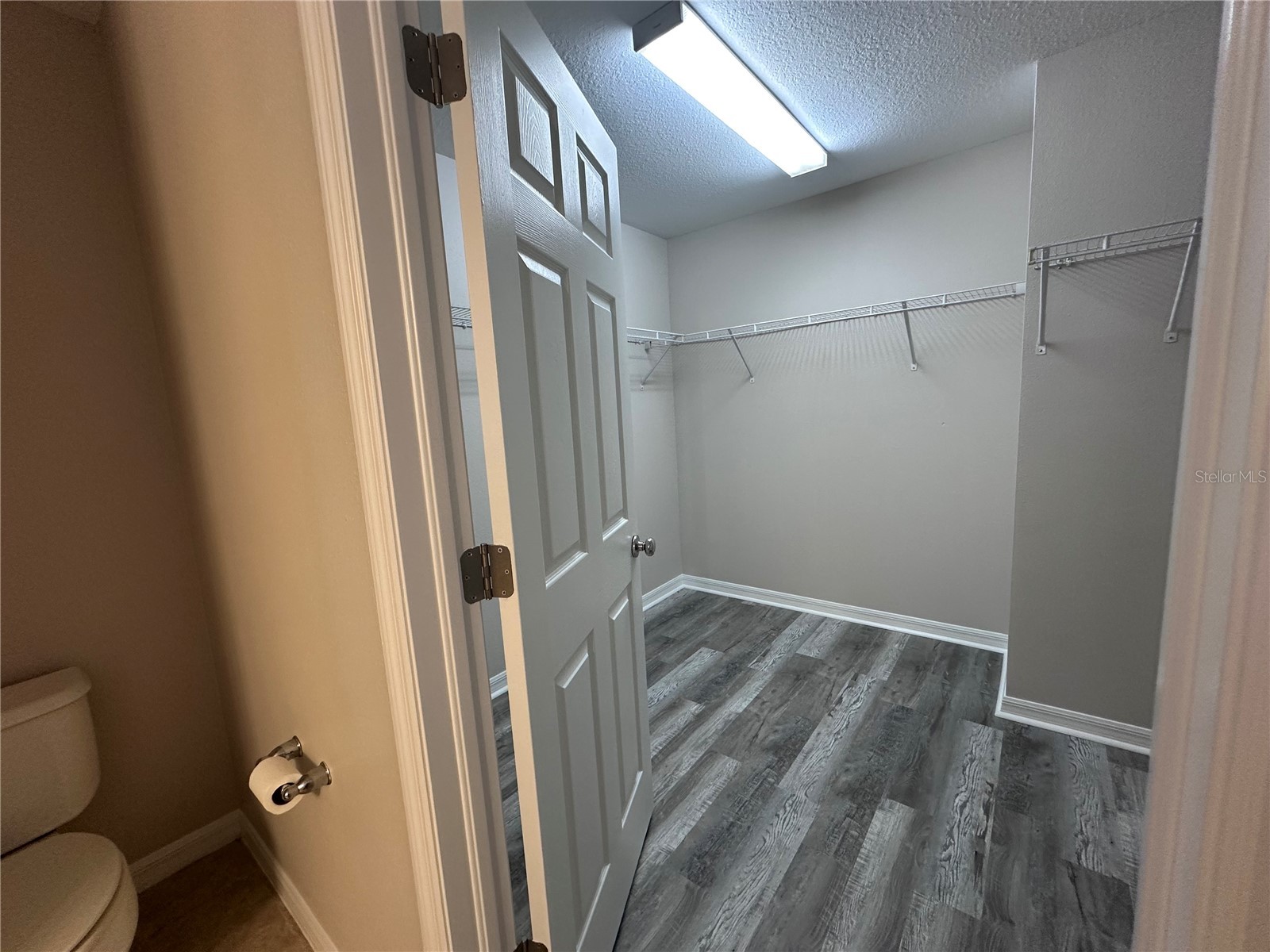6307 Pin Cherry Place Riverview FL 33578 A4684735 image16