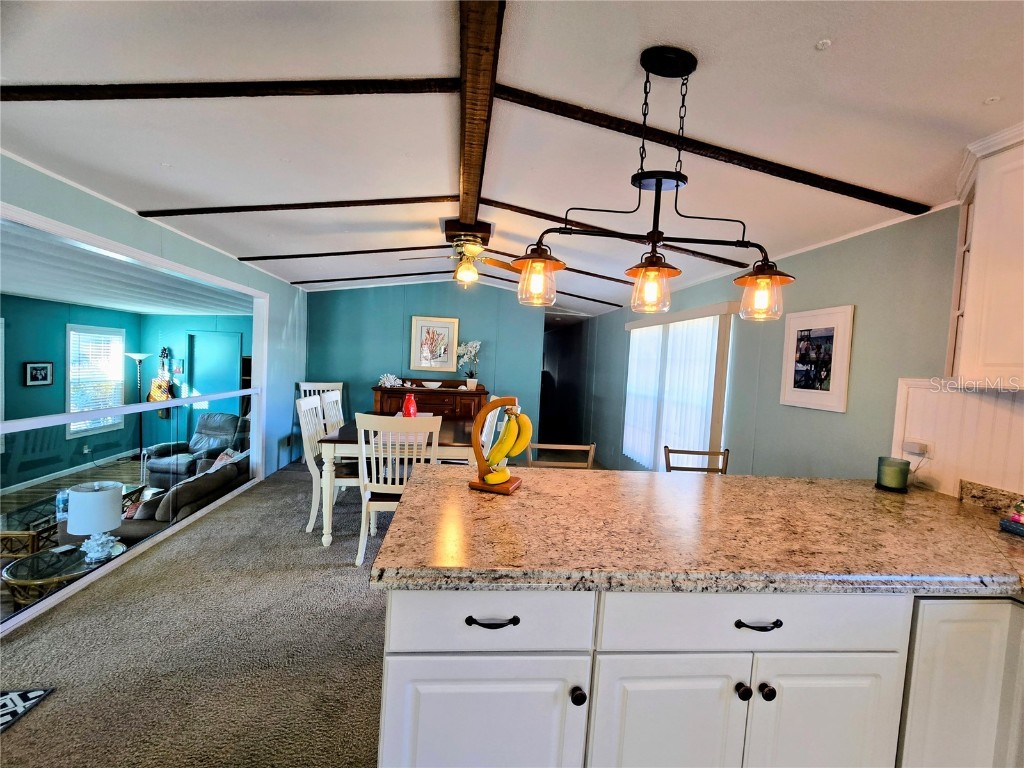 6307 Wealthy Lane Zephyrhills FL 33542 TB8443334 image15