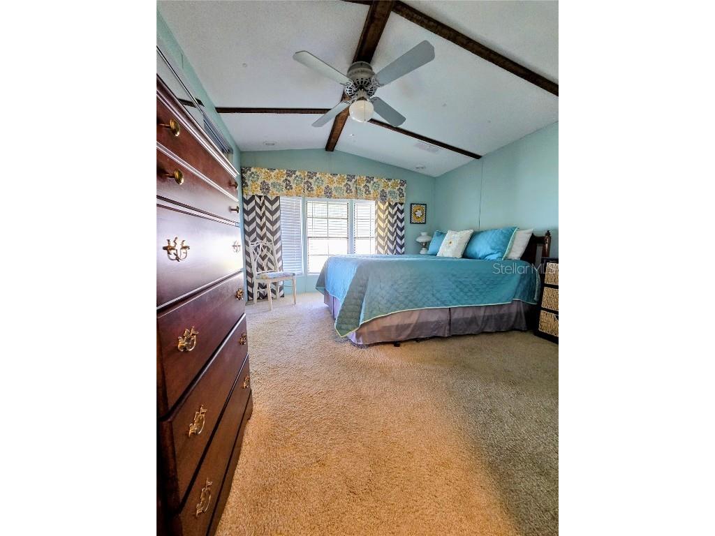 6307 Wealthy Lane Zephyrhills FL 33542 TB8443334 image17