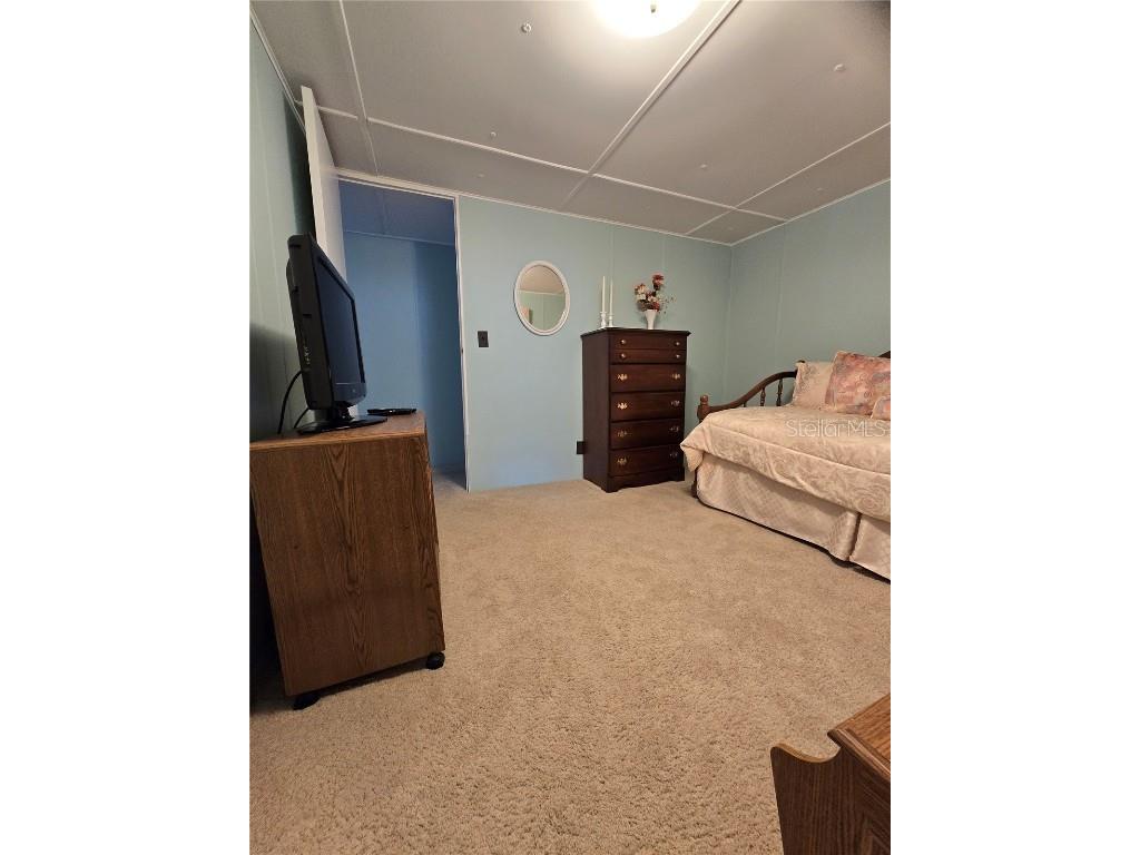 6307 Wealthy Lane Zephyrhills FL 33542 TB8443334 image26