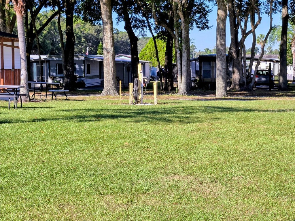 6307 Wealthy Lane Zephyrhills FL 33542 TB8443334 image32