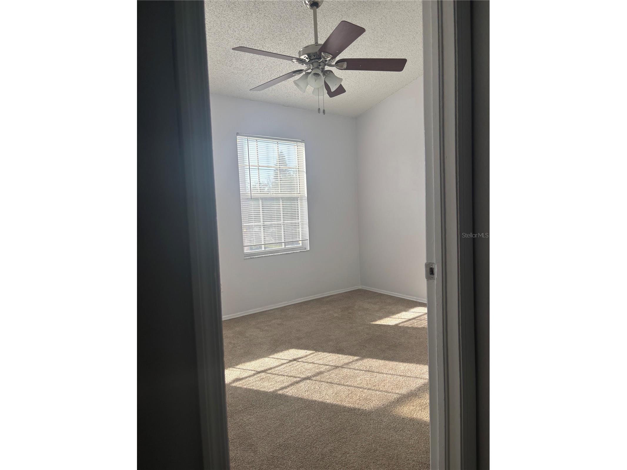 6308 Bayside Key Drive Tampa FL 33615 TB8506287 image21