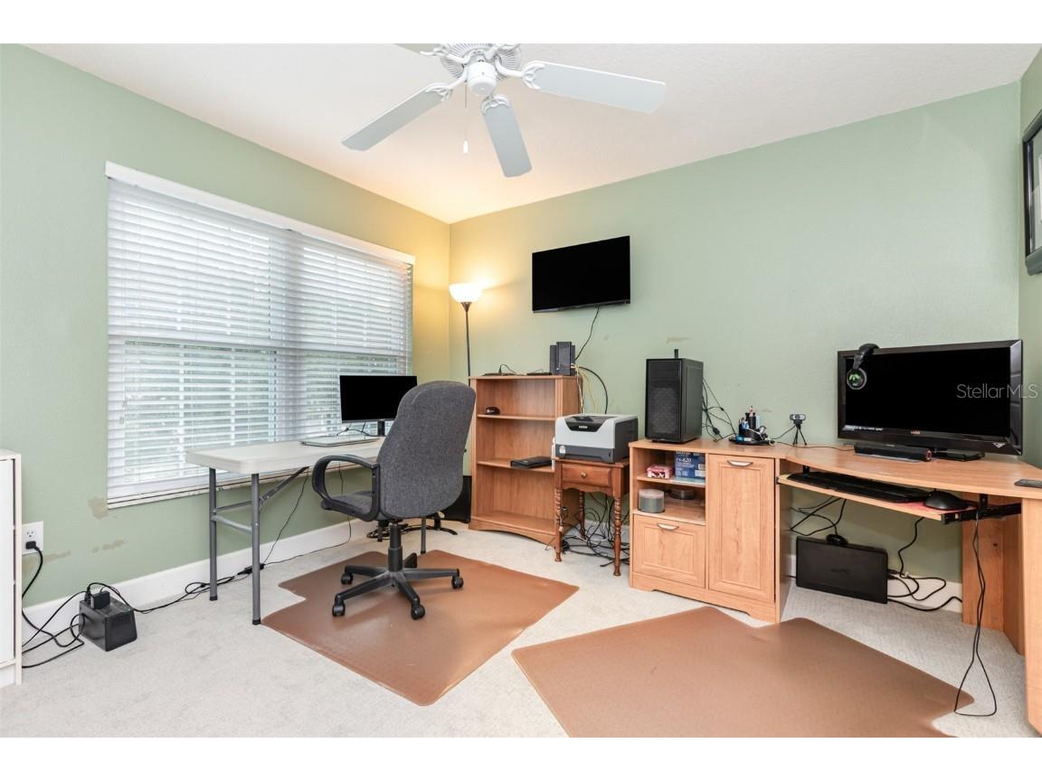 6308 Bridgevista Drive Lithia FL 33547 TB8426943 image14