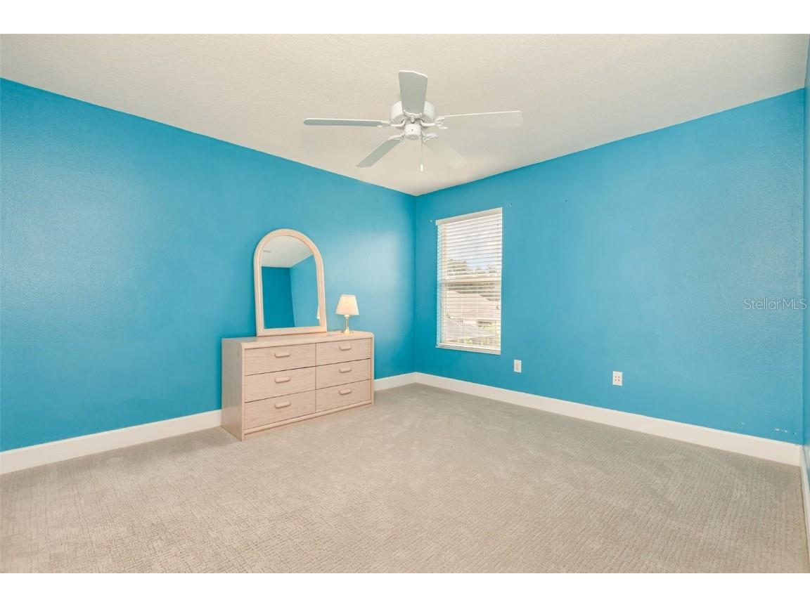 6308 Bridgevista Drive Lithia FL 33547 TB8426943 image24