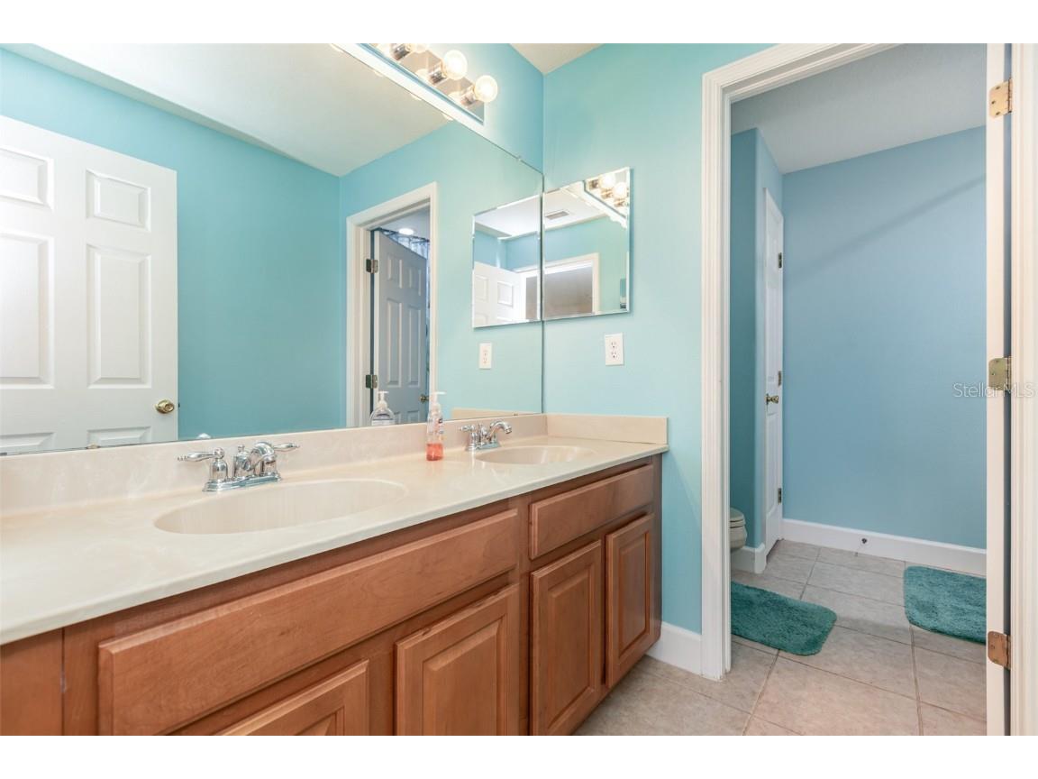 6308 Bridgevista Drive Lithia FL 33547 TB8426943 image27