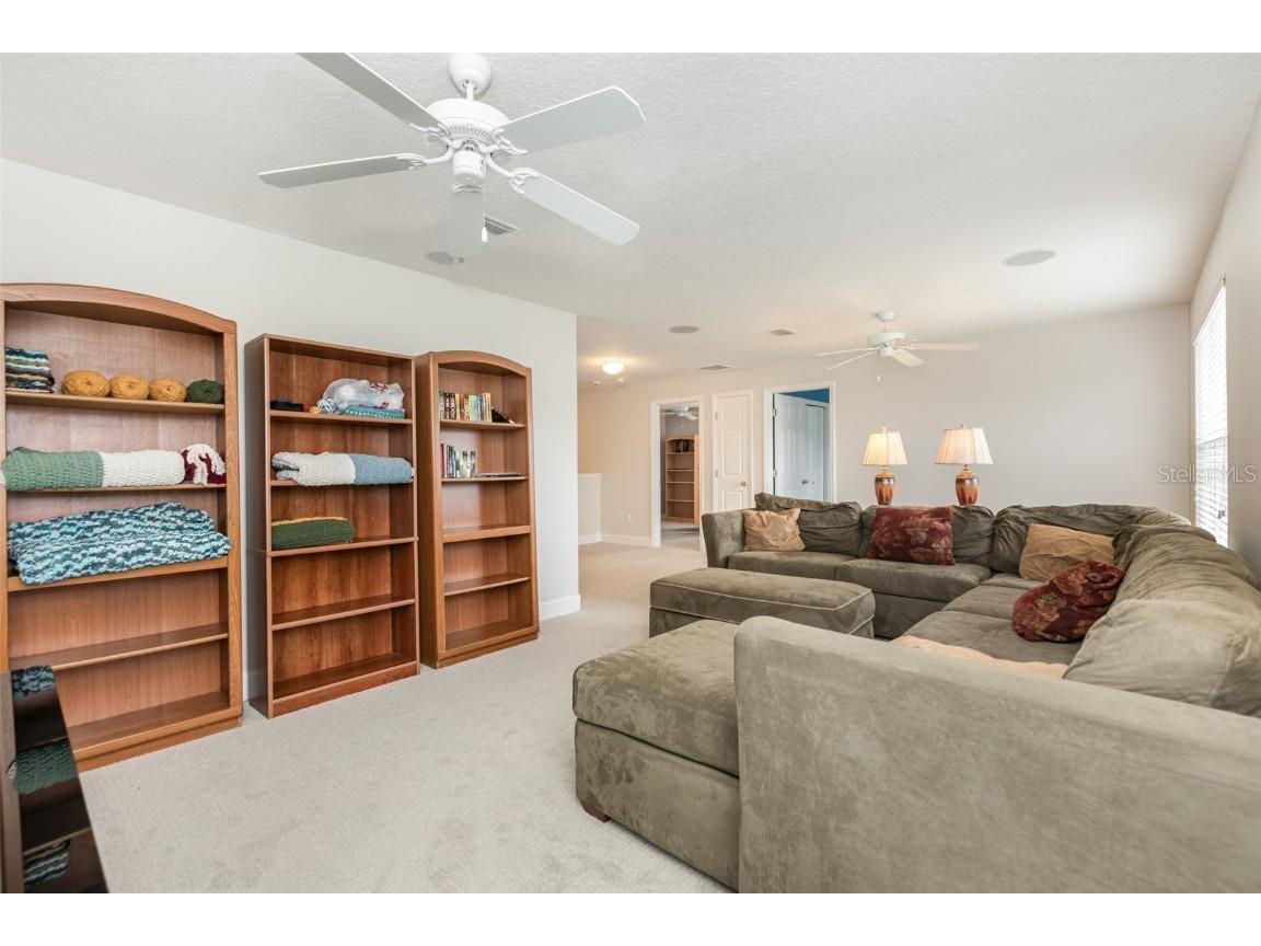 6308 Bridgevista Drive Lithia FL 33547 TB8426943 image7