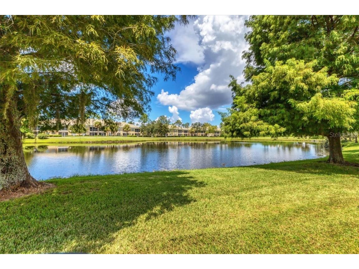6308 Cormorant Court Bradenton FL 34203 A4659811 image31
