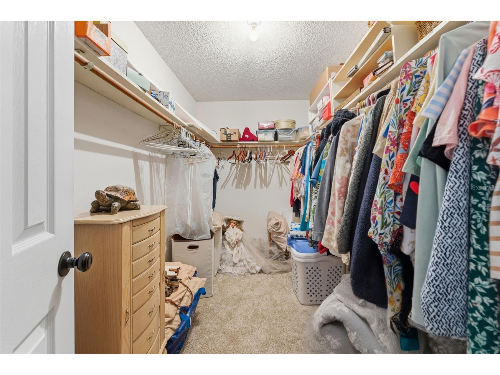 6308 Eaglebrook Avenue Tampa FL 33625 TB8513554 image31