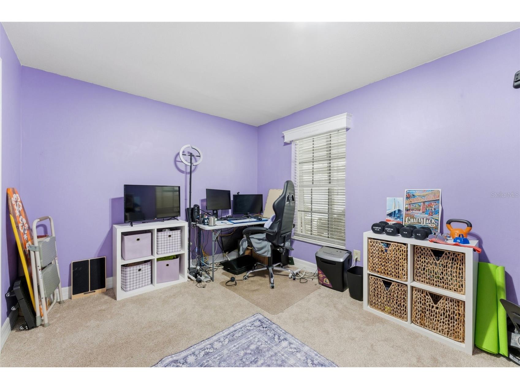 6308 Eaglebrook Avenue Tampa FL 33625 TB8513554 image35