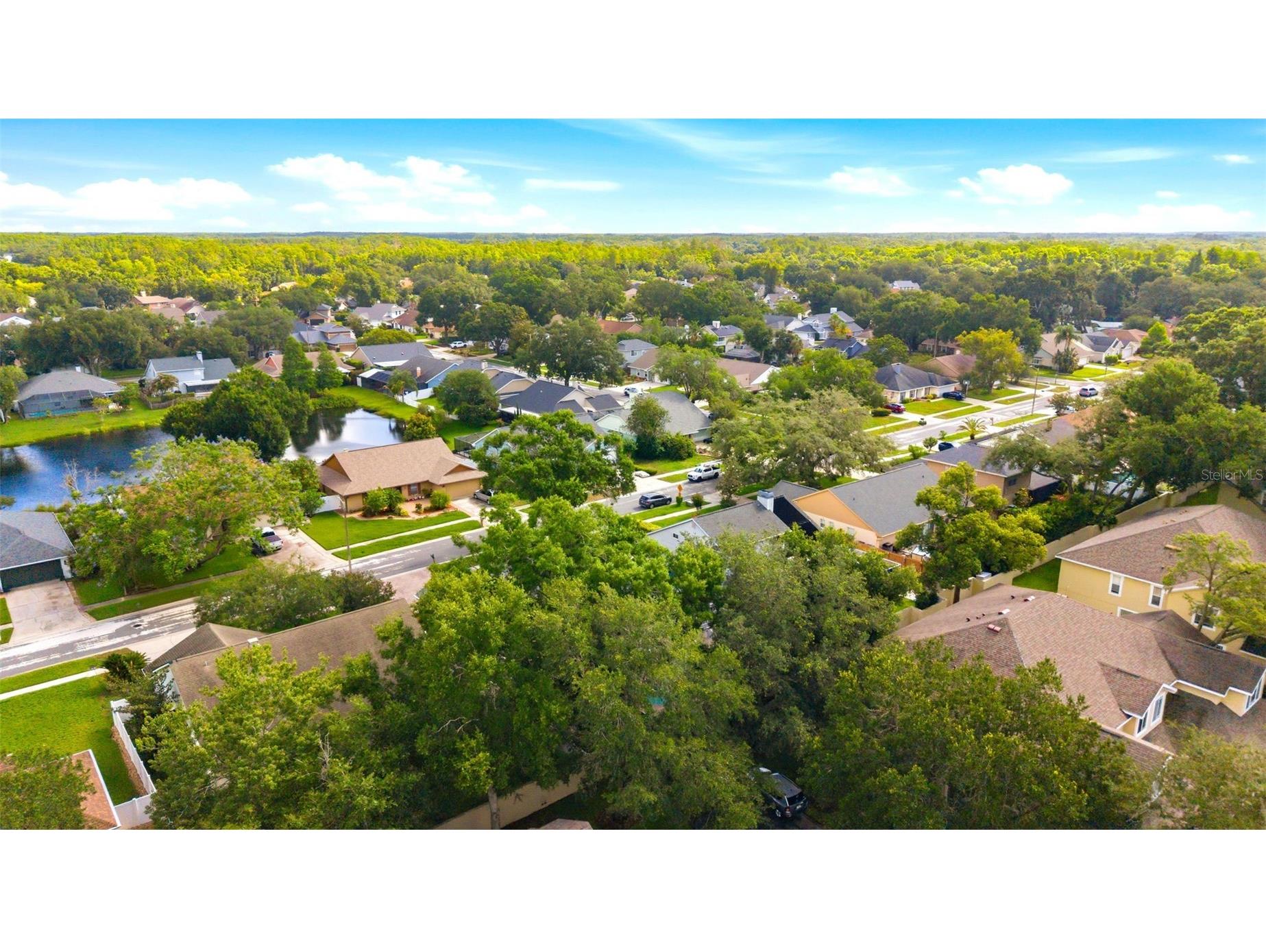 6308 Eaglebrook Avenue Tampa FL 33625 TB8513554 image52