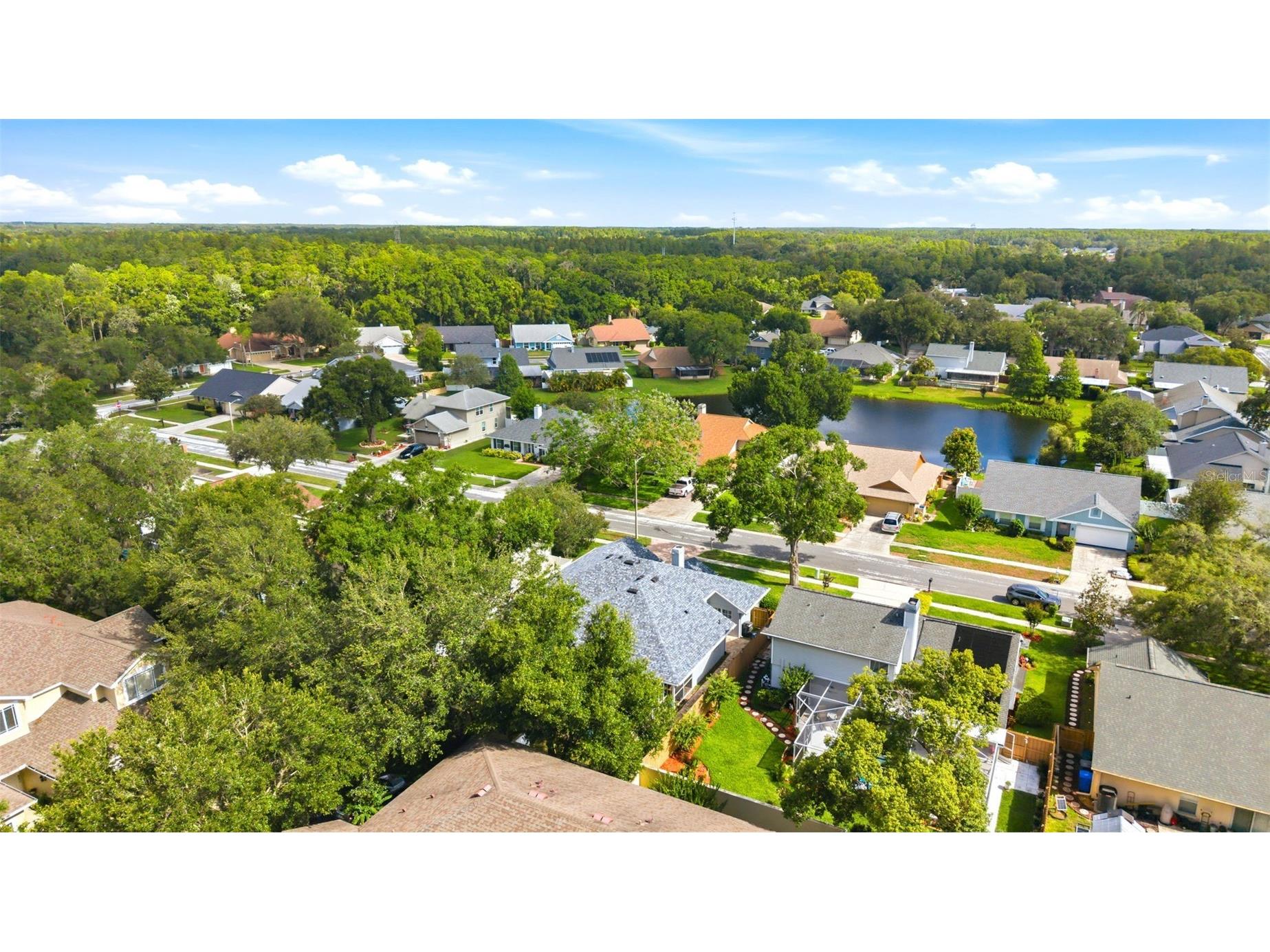 6308 Eaglebrook Avenue Tampa FL 33625 TB8513554 image55