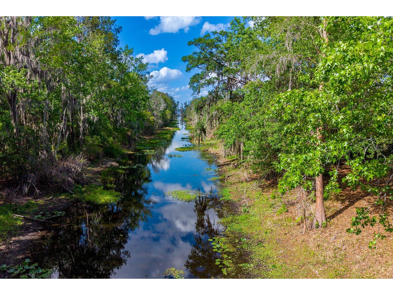 6308 Island Road Melrose FL 32666 - LAKE SANTA FE GC539187 image24