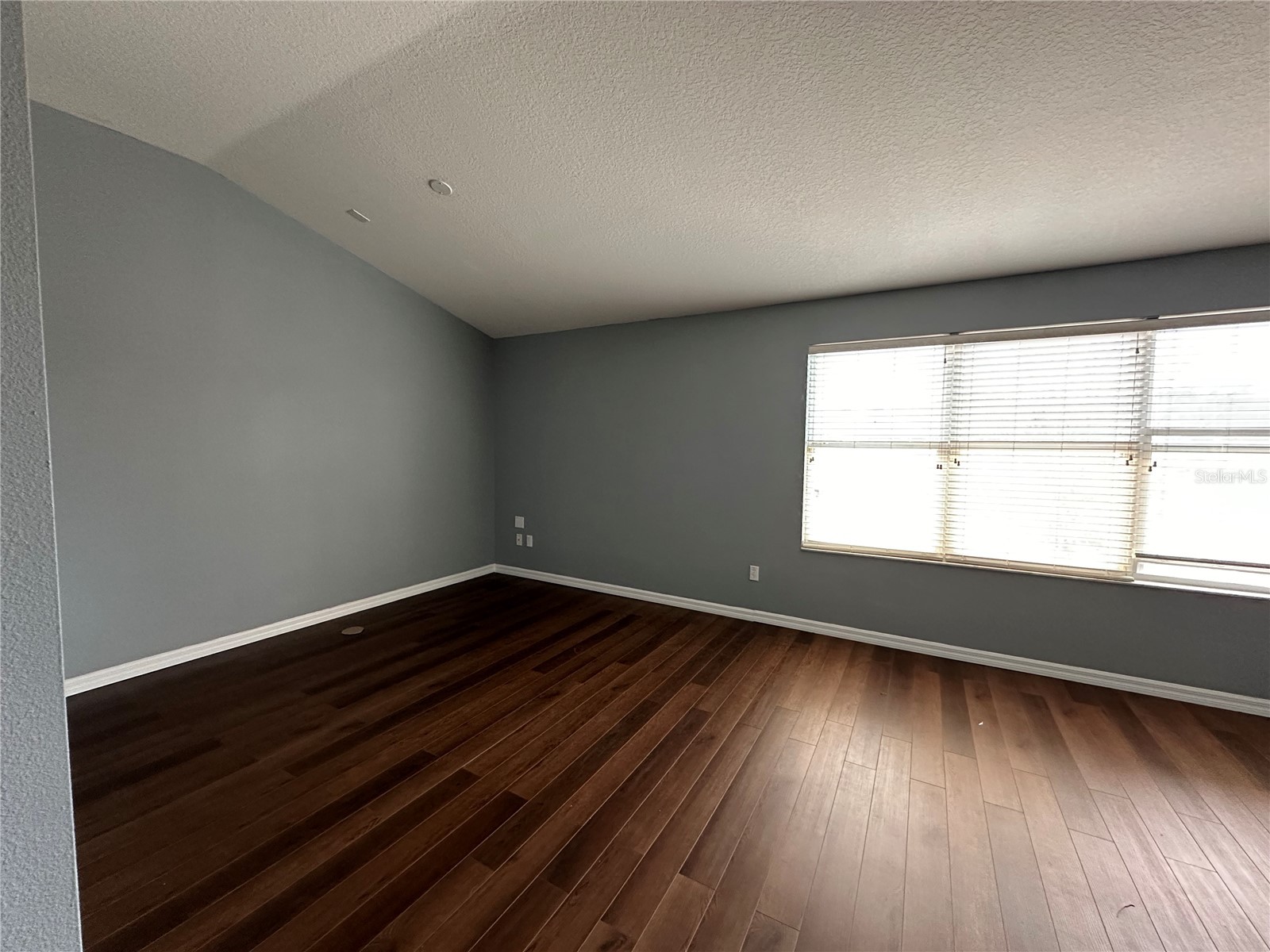 6308 Lake Smith Circle Windermere FL 34786 O6410997 image7