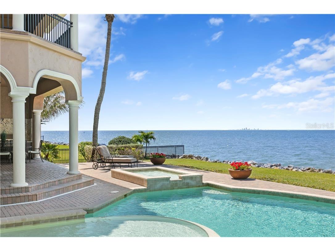 6308 Marbella Boulevard Apollo Beach FL 33572 - TAMPA BAY TB8502916 image1