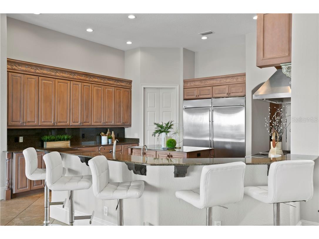 6308 Marbella Boulevard Apollo Beach FL 33572 - TAMPA BAY TB8502916 image14