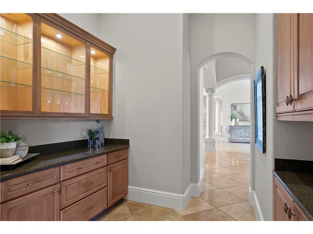 6308 Marbella Boulevard Apollo Beach FL 33572 - TAMPA BAY TB8502916 image17
