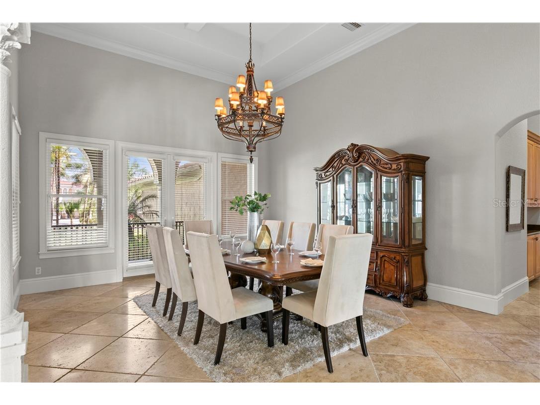 6308 Marbella Boulevard Apollo Beach FL 33572 - TAMPA BAY TB8502916 image19
