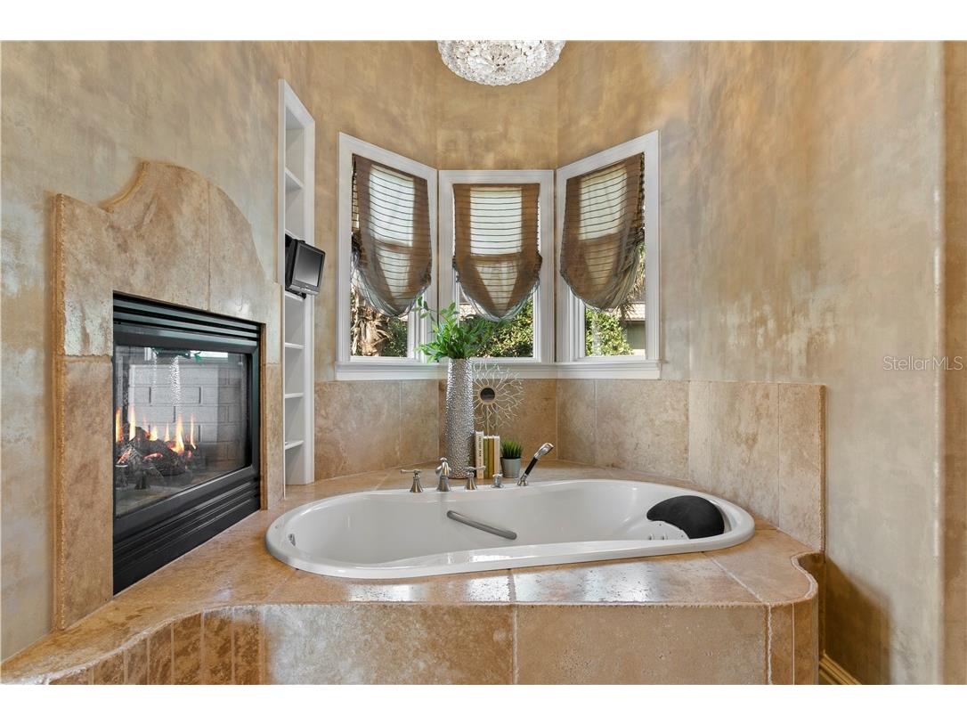 6308 Marbella Boulevard Apollo Beach FL 33572 - TAMPA BAY TB8502916 image28