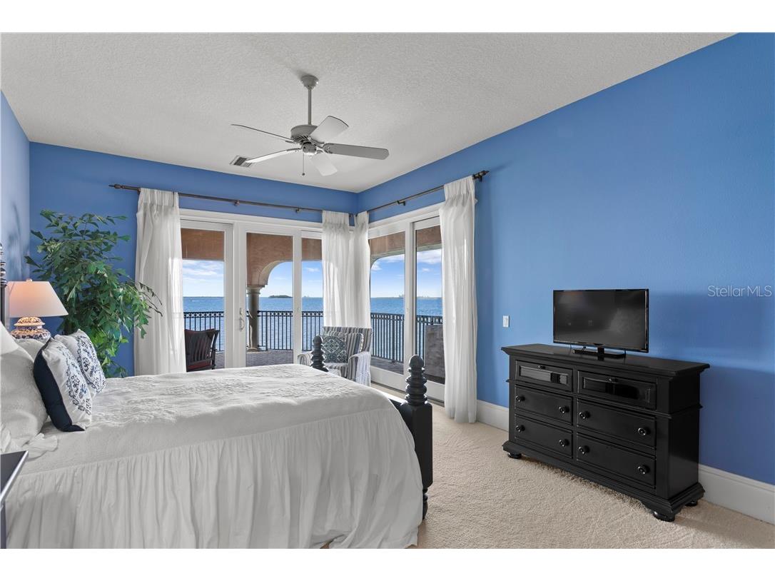 6308 Marbella Boulevard Apollo Beach FL 33572 - TAMPA BAY TB8502916 image33