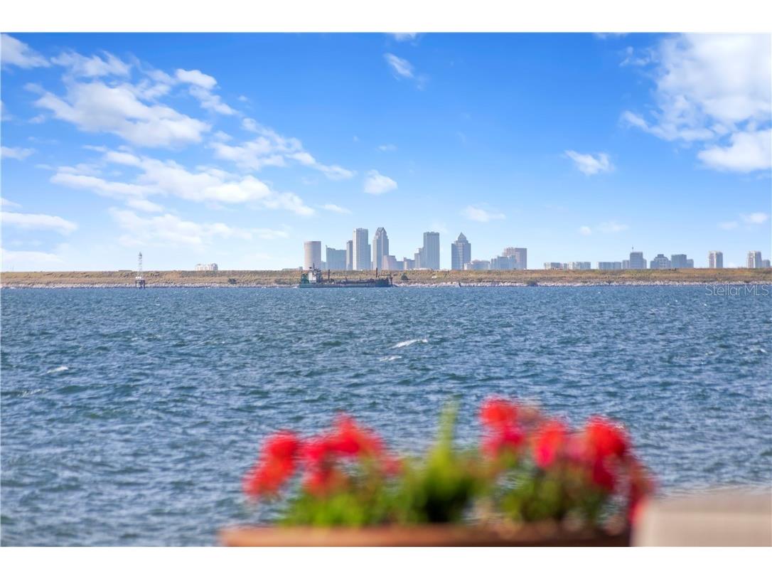 6308 Marbella Boulevard Apollo Beach FL 33572 - TAMPA BAY TB8502916 image39