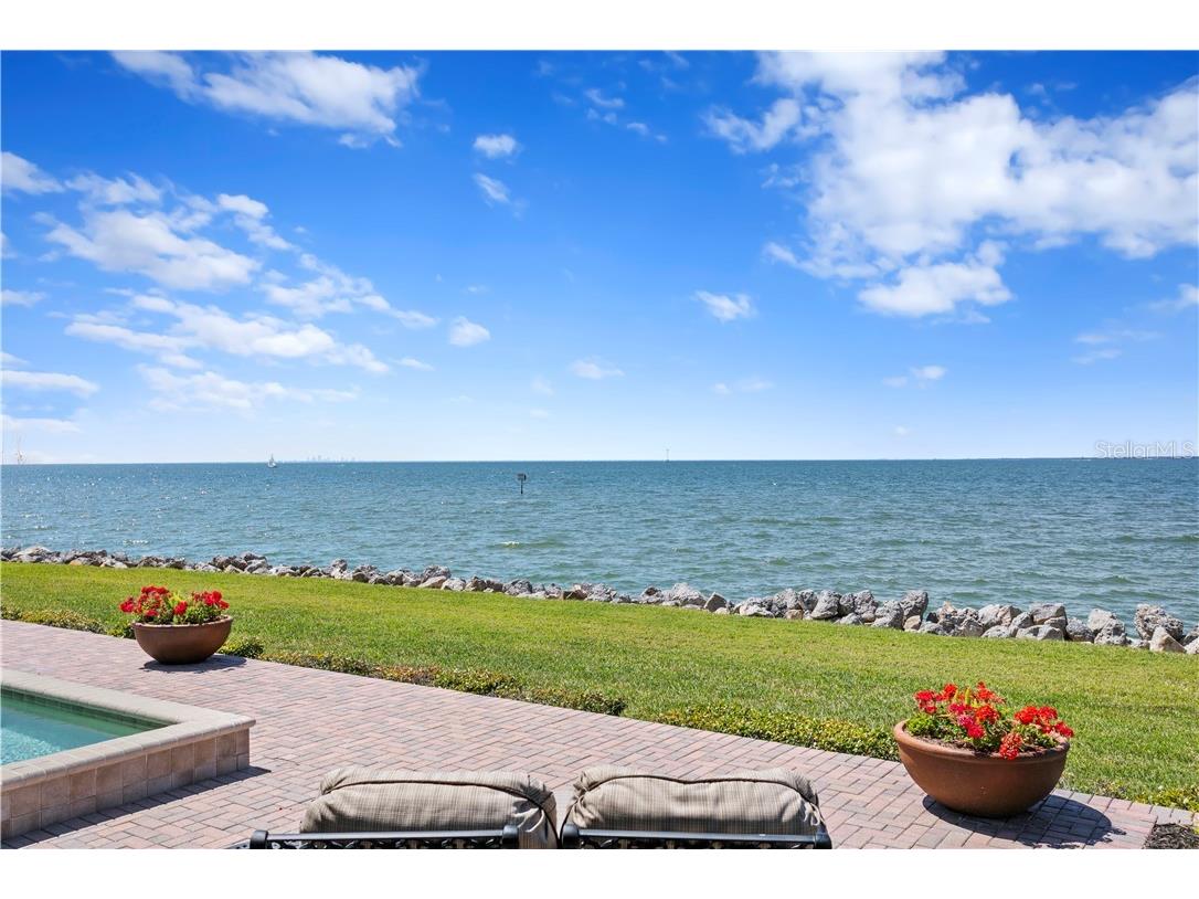 6308 Marbella Boulevard Apollo Beach FL 33572 - TAMPA BAY TB8502916 image43