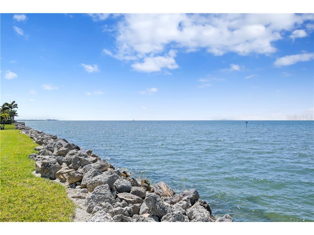 6308 Marbella Boulevard Apollo Beach FL 33572 - TAMPA BAY TB8502916 image47