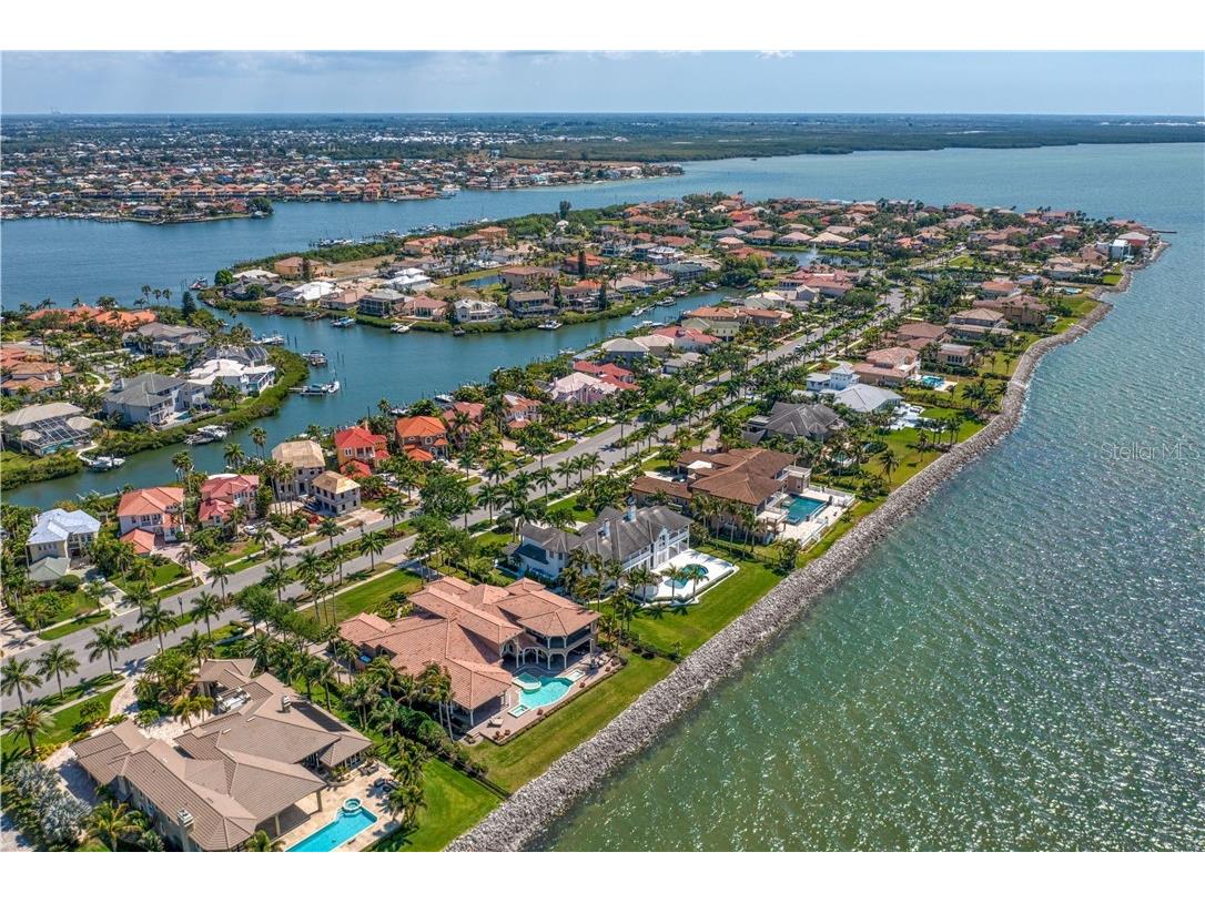 6308 Marbella Boulevard Apollo Beach FL 33572 - TAMPA BAY TB8502916 image58