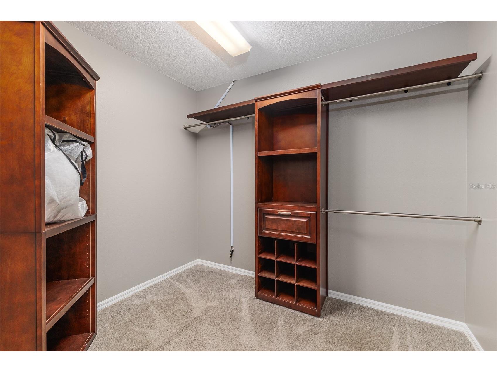 6308 N Queensway Drive Temple Terrace FL 33617 TB8488097 image17