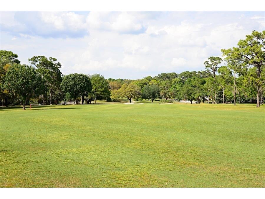 6308 N Queensway Drive Temple Terrace FL 33617 TB8488097 image31