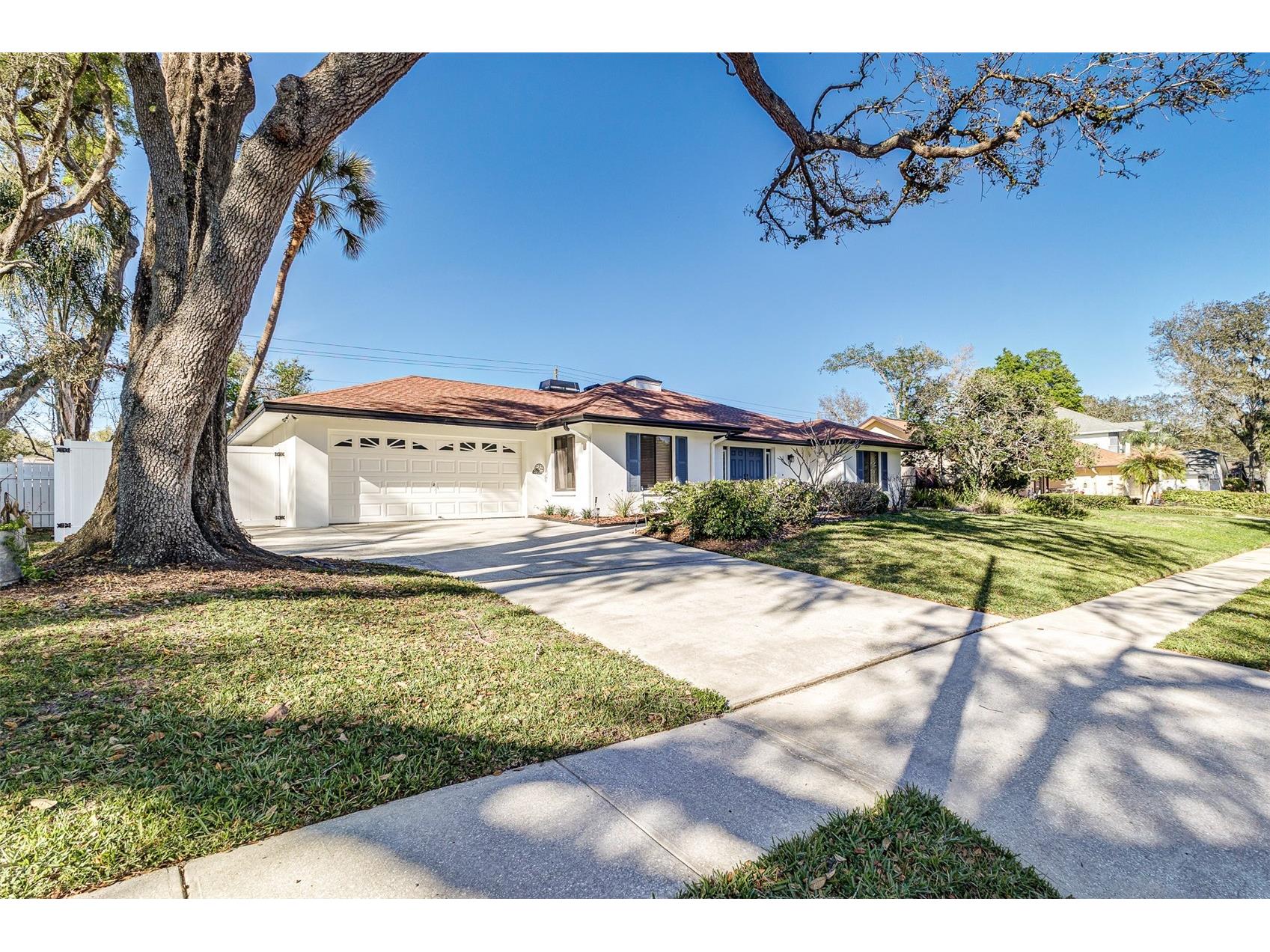 6308 N Queensway Drive Temple Terrace FL 33617 TB8488097 image5