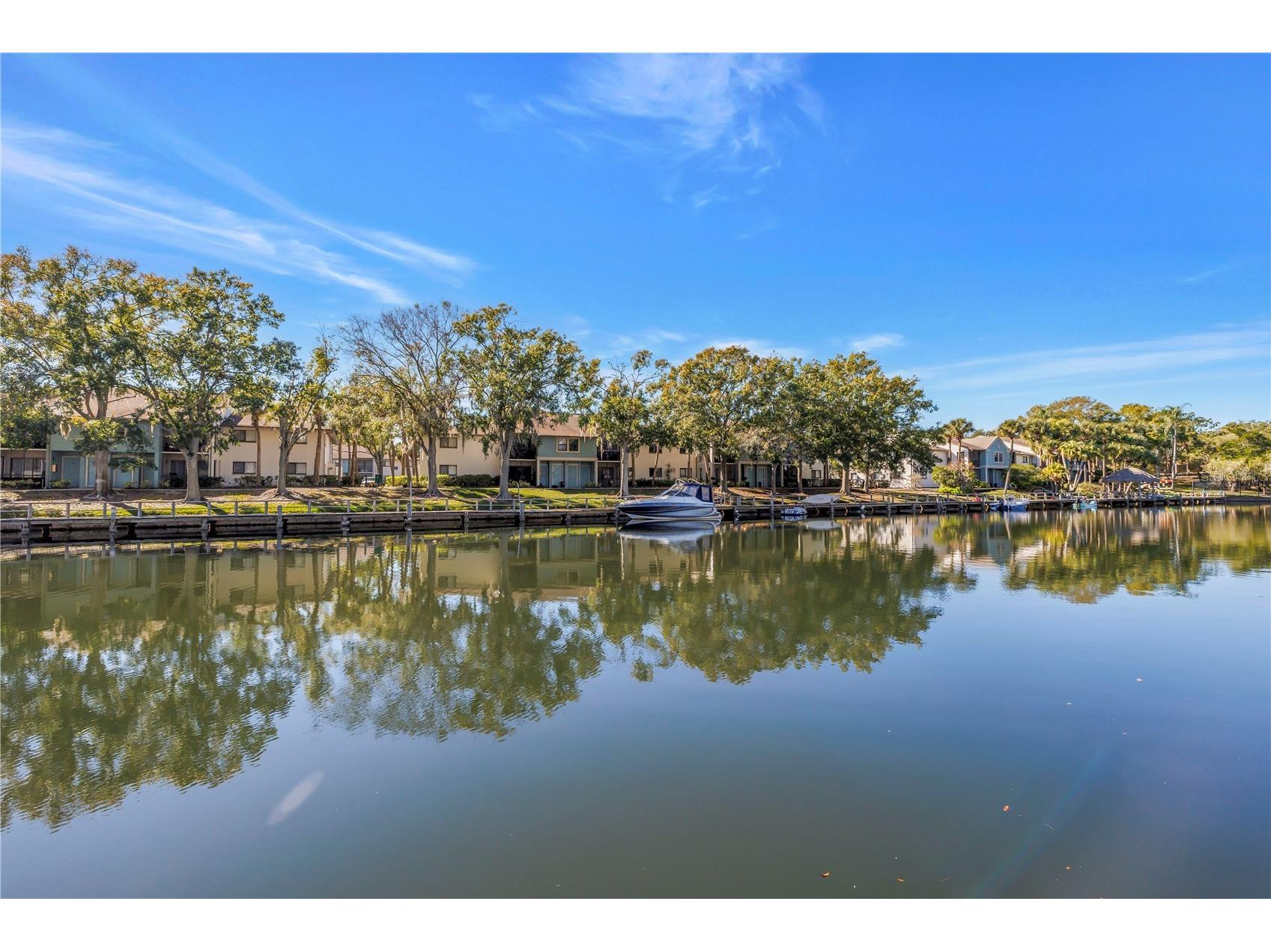 6308 Newtown Circle #8B2 Tampa FL 33615 TB8465714 image2
