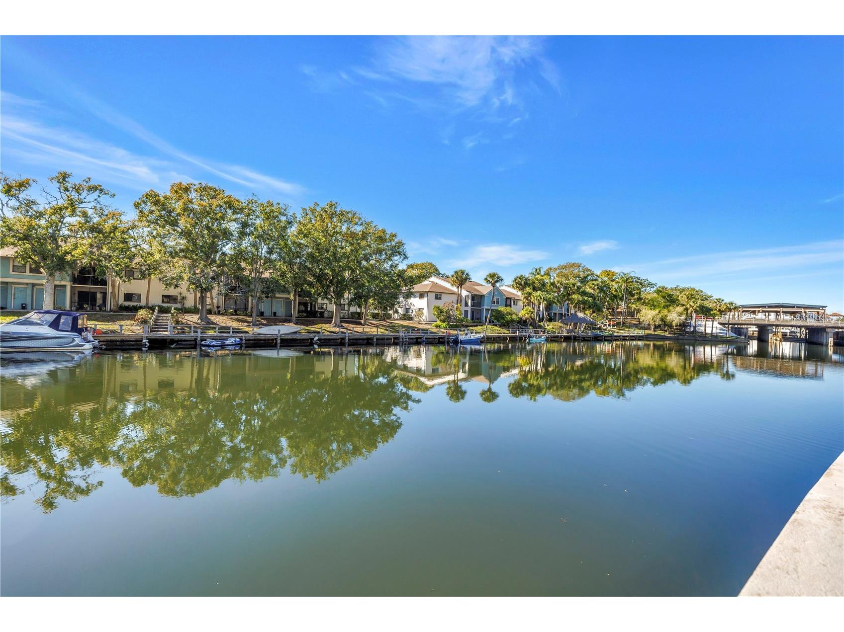 6308 Newtown Circle #8B2 Tampa FL 33615 TB8465714 image37