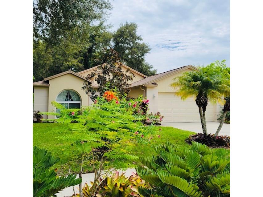 6308 Secret Court Tampa FL 33625 T3468060 image1