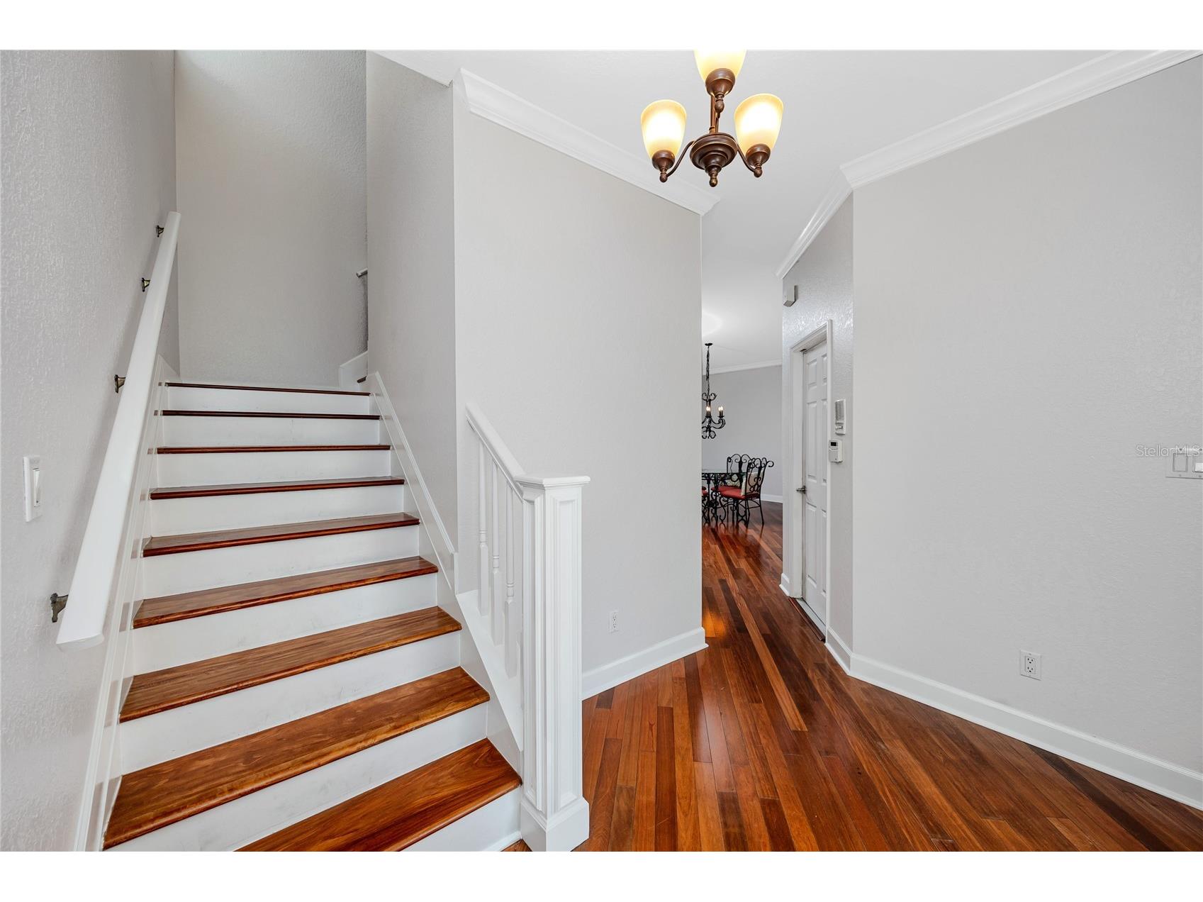 6308 Vista Verde Drive Gulfport FL 33707 TB8514303 image14
