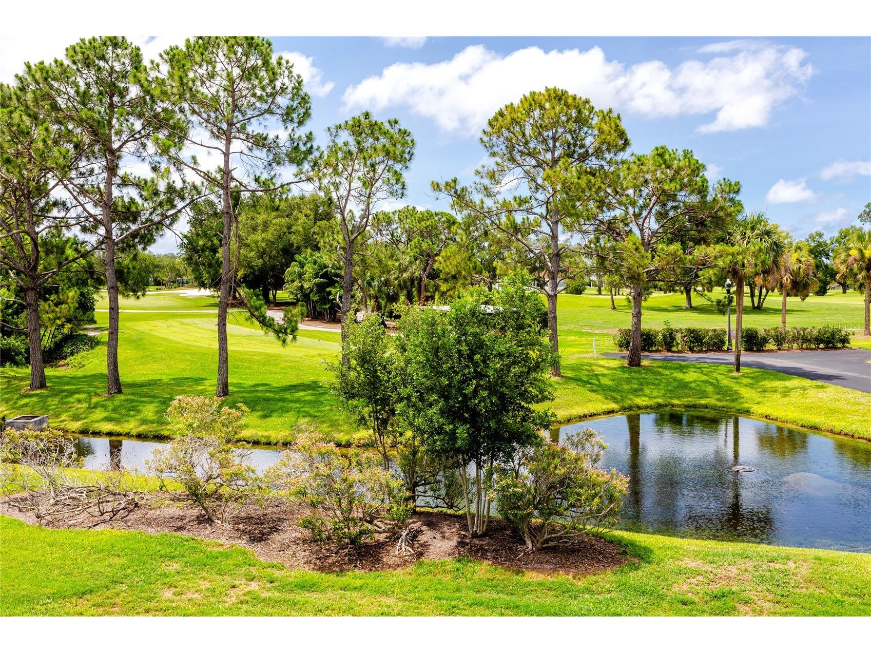 6308 Vista Verde Drive Gulfport FL 33707 TB8514303 image33