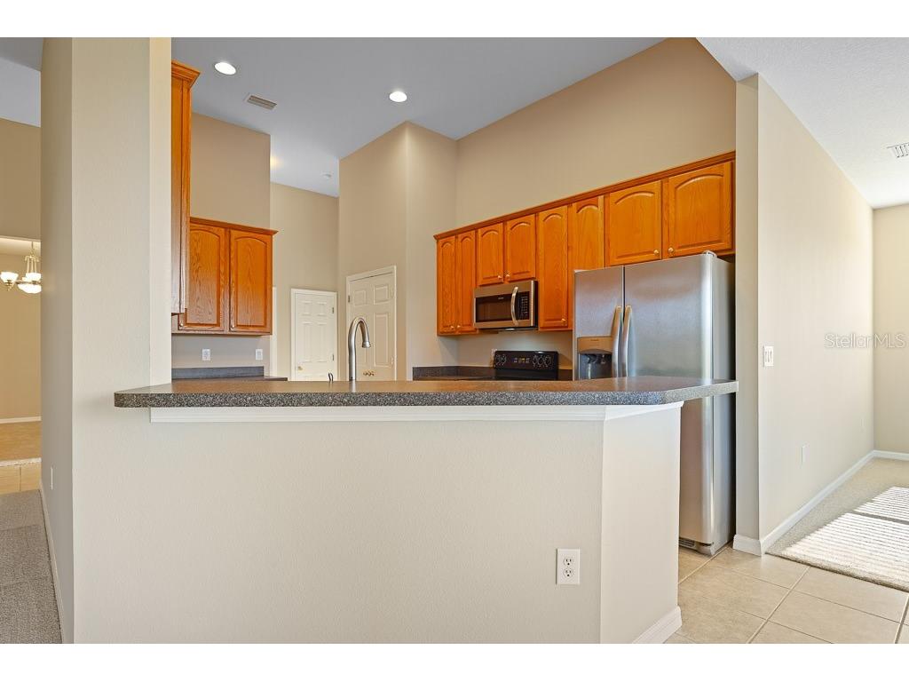 6309 Bridgevista Drive Lithia FL 33547 TB8451369 image21