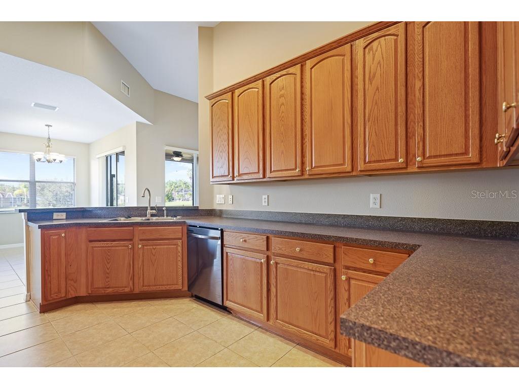 6309 Bridgevista Drive Lithia FL 33547 TB8451369 image22