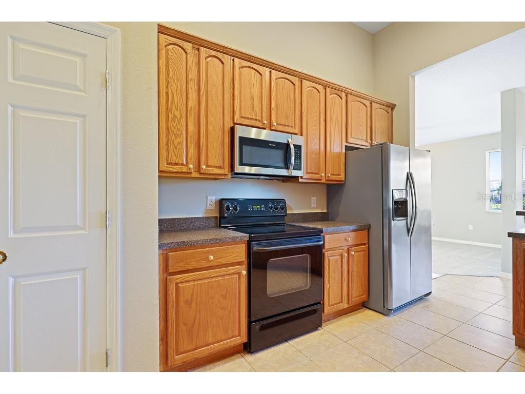 6309 Bridgevista Drive Lithia FL 33547 TB8451369 image23