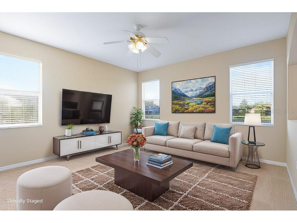 6309 Bridgevista Drive Lithia FL 33547 TB8451369 image25