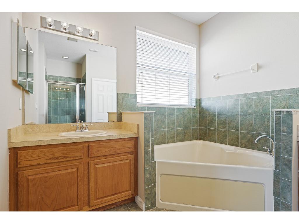 6309 Bridgevista Drive Lithia FL 33547 TB8451369 image32