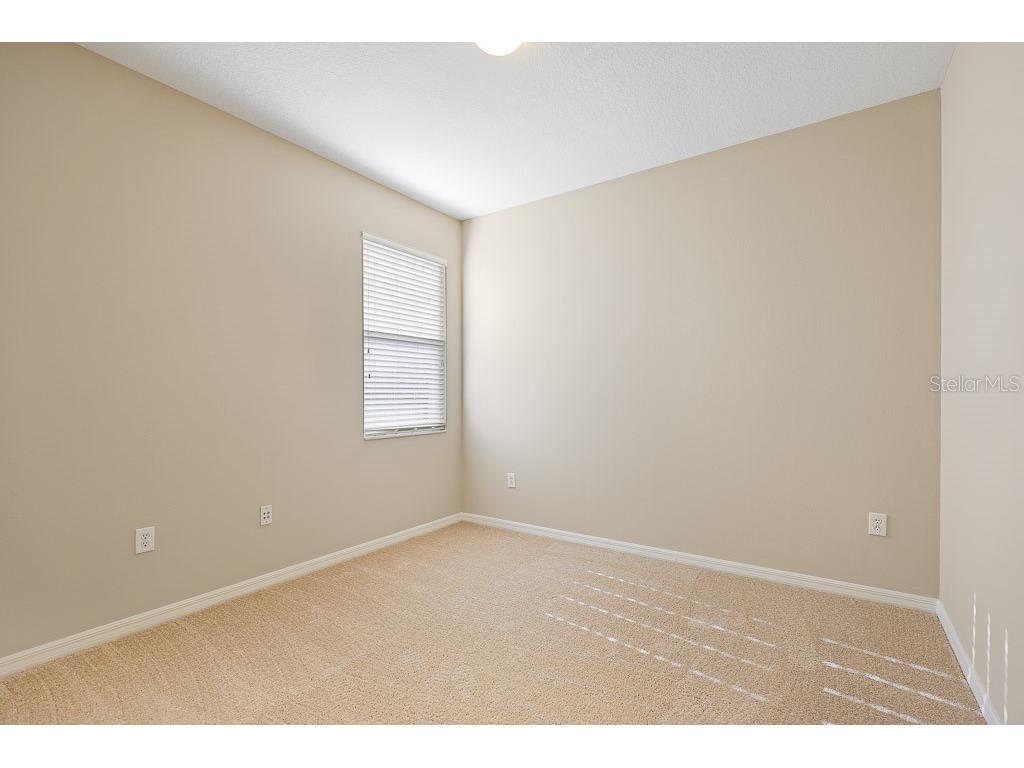 6309 Bridgevista Drive Lithia FL 33547 TB8451369 image37