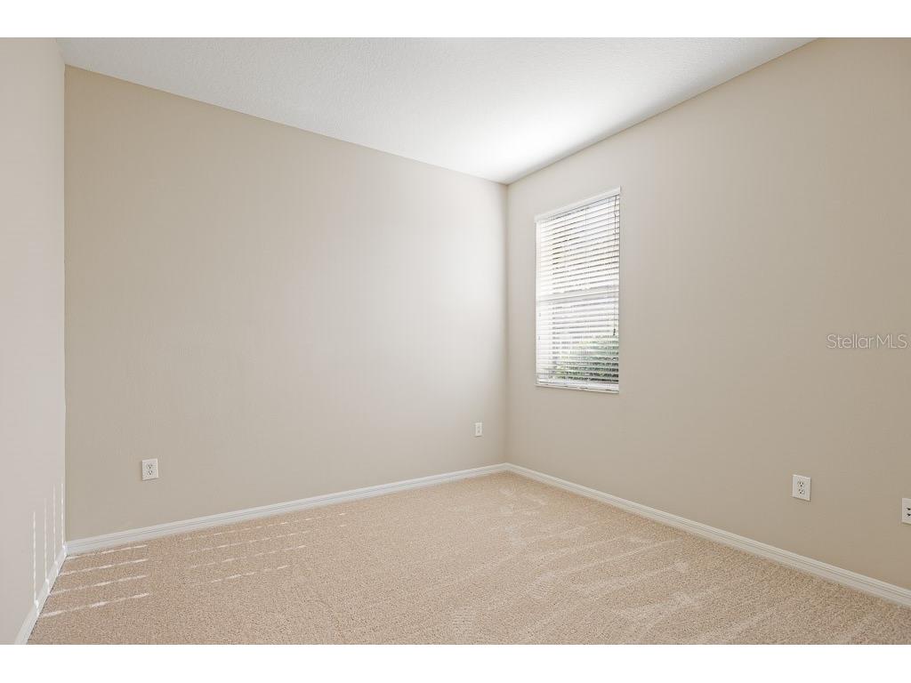 6309 Bridgevista Drive Lithia FL 33547 TB8451369 image40