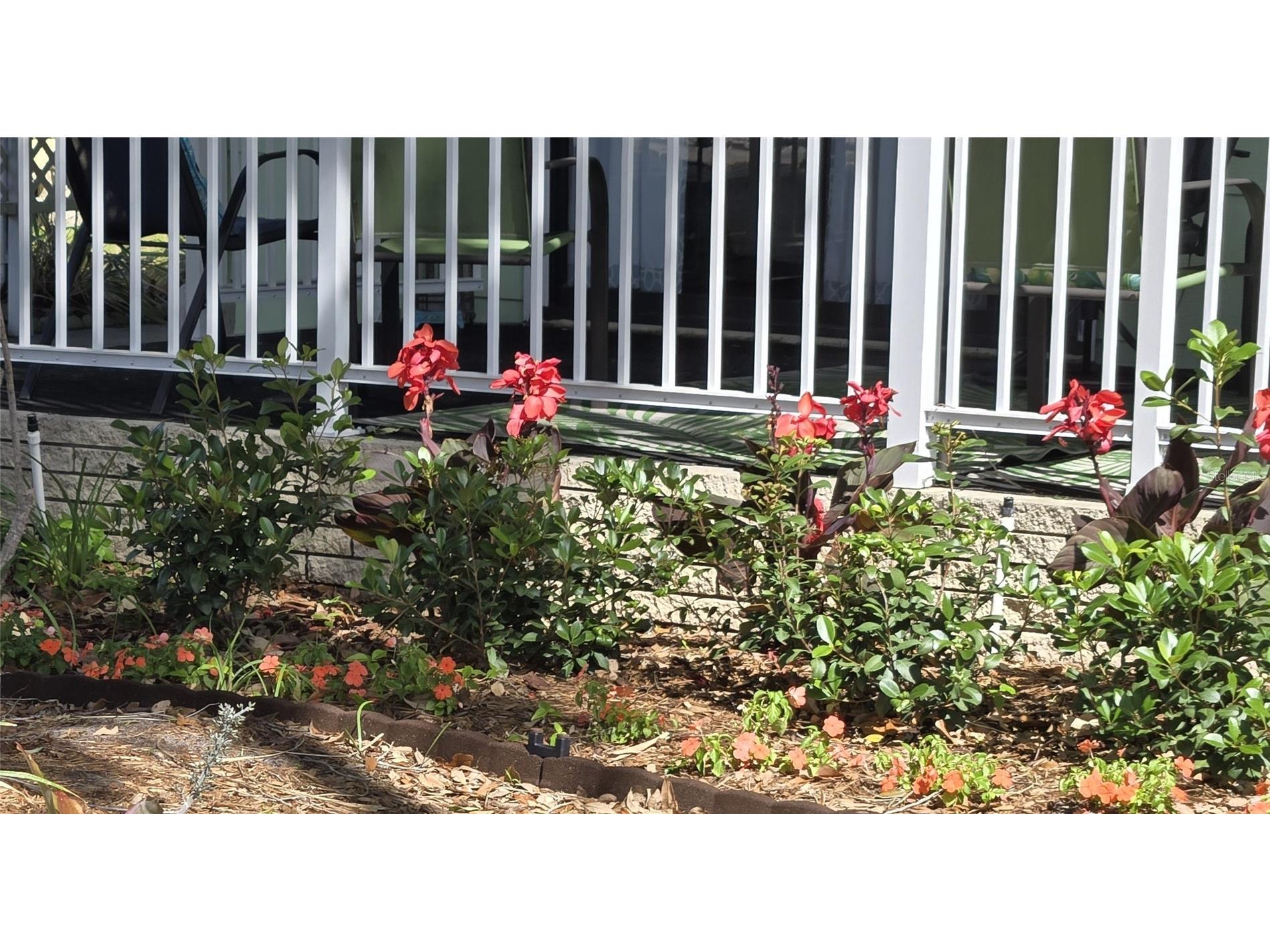 6309 Grove Pointe Drive SE Winter Haven FL 33884 P4938313 image5
